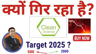 Why Clean Science share Falling news Target 2025  Clean Q3 results Analysis  Saurabh Mukherjea [upl. by Nuawed]