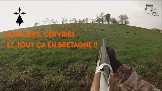 BATTUES AUX GROS GIBIERS  CERVIDÉS ET SANGLIERS  ELOUAN CHASSE [upl. by Yhtnomit280]