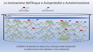 Autoprotolisi o ionizzazione dellacqua [upl. by Drawoh126]