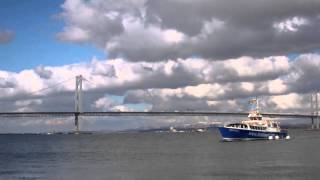 April Cruise Boat Firth Of Forth South Queensferry Scotland [upl. by Abeu]