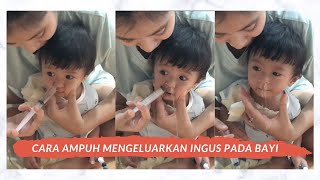 CARA MENGELUARKAN INGUS PILEK PADA BAYI  CARA CUCI HIDUNG [upl. by Esor143]