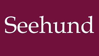 How to Pronounce Seehund Seal Correctly in German [upl. by Arodaeht]