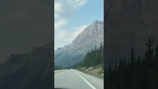 Driving in icefield parkway [upl. by Akcinahs]