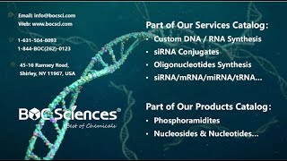 Nucleic Acids  DNA and RNA  DNA vs RNA [upl. by Lenrad]