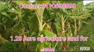 128 Acre agriculture land for sale nearby Nanjanagudu just 8 km [upl. by Nnylkoorb741]