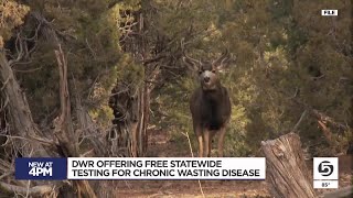 DWR urging hunters to have harvested deer checked for chronic wasting disease [upl. by Clementas]