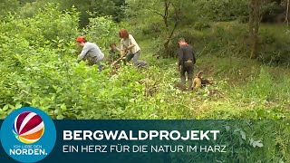 Bergwaldprojekt 2021 Freiwillige engagieren sich für die Natur im Harz [upl. by Winchester]