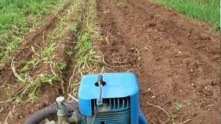 Ransomes MG5 Crawler and our Potatoes 2011 [upl. by Notxam17]