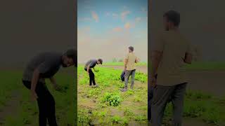 youtube  Dohan de pindan Sahara ta ek hi Narowal a pinda domala village farming pinda [upl. by Acus]