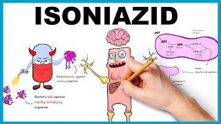 Isoniazid Mechanism of Action Uses Dose side effects [upl. by Hcire646]