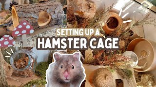 NEW Hamster Cage Setup  Natural setup🌿🌻 [upl. by Auqinaj476]