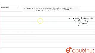 In the centre of each microsporangia a compact arranged tissue is [upl. by Keenan]