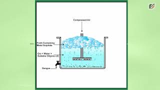 Froth Floatation Process [upl. by Enelym488]