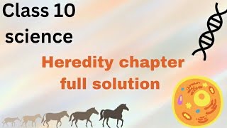 class 10 science heredity chapter full exercise solutions [upl. by Atiran]