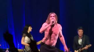 Iggy Pop  The Passenger HD 2022 live  Liederhalle  Stuttgart [upl. by Enail929]