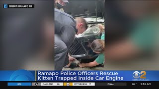 Ramapo Police Rescue Kitten [upl. by Aurelie]