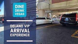 Delano VIP Arrival Experience [upl. by Aitnuahs669]