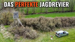 REVIERPFLEGE Vorbereitung des Jagdgebietes für maximalen Jagderfolg  JAGD TOTAL [upl. by Eisnyl753]