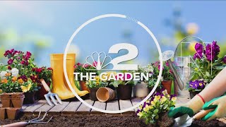 2 the Garden How to keep your herbs happy and healthy [upl. by Iknarf486]