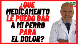 🔴 Que MEDICAMENTO Antiinflamatorio le puedo dar ami PERRO para el DOLOR 🔴 Muscular de Pata etc [upl. by Avika]