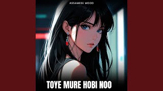 Toye Mure Hobi Noo [upl. by Trella123]