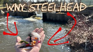 Steelhead Jig FishingLake Ontario Tributaries [upl. by Hartzell]