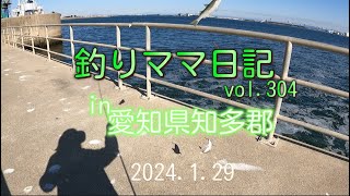 釣りママ日記vol304愛知県知多郡 [upl. by Aizatsana]