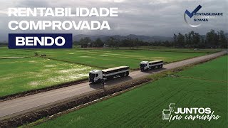 RENTABILIDADE COMPROVADA  GRUPO BENDO TRANSPORTES [upl. by Asirrom]