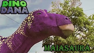 Dino Dana maiasaura screen time [upl. by Cathlene]