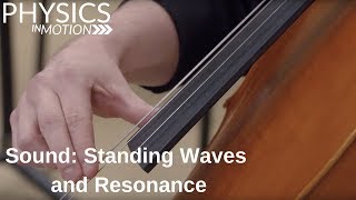 Sound Standing Waves and Resonance  Physics in Motion [upl. by Simonetta546]