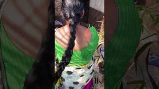 Long Thick Oiled Hair Braid Pulling amp Squeezing by Man  Sensual Hair Pulling amp Squeezing viral [upl. by Swamy]