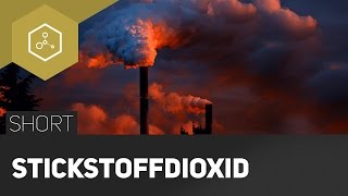 Stickstoffdioxid Schadstoff aus dem Auto  TheSimpleShort [upl. by Ennasor]