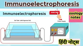 Immunoelectrophoresis MSc zoology 2nd semester Hindi notes [upl. by Nilpik369]