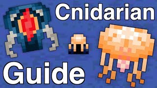 RotMG  Cnidarian Reef Guide  Janus [upl. by Aevin]