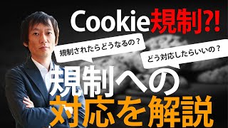 【プロが解説】Cookie規制で何ができなくなるの？対応方法までお伝えします！ [upl. by Nomi]