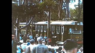 Sydney Tramway Museum Official Opening Day 1965 [upl. by Ilrebmyk]