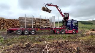 Timber Haulage  Scania V8 R660Loglift 108s loading 3m spruce in the Scottish Borders [upl. by Wittenburg]