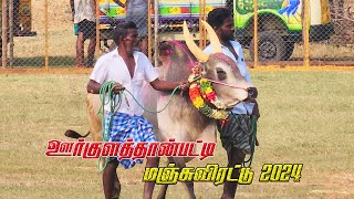 ஊர்குளத்தான்பட்டி மஞ்சுவிரட்டு  Oorkulathanpatti Manjuvirattu  Manjuvirattu 2024  Local Media [upl. by Hirsch]