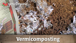 What is Vermicomposting and How To Use It In Your Garden [upl. by Ahsenev481]