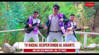 004  13046MUSICA CRISTIANA DE BOLIVIA 2024 TV RADIAL DESPERTANDO AL GIGANTE JOSE CAYO [upl. by Gault]