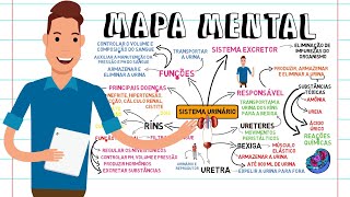 MAPA MENTAL  SISTEMA URINÁRIO [upl. by Yamauchi]