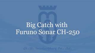 Big Catch with Furuno Sonar CH250 [upl. by Aicenek]