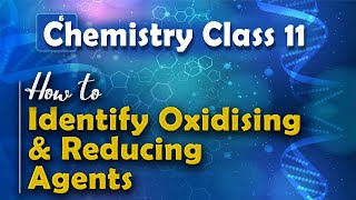 How to Identify Oxidising and Reducing Agents  Redox Reaction  Chemistry Class 11 [upl. by Ernesto]