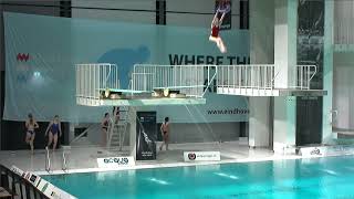 Girls A 3m  Eindhoven Diving Cup 2024 [upl. by Chantalle]