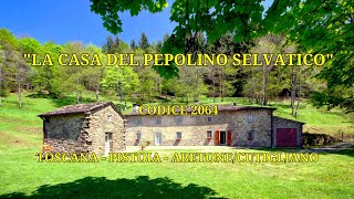 La CASA del PEPOLINO SELVATICO  Casale in Vendita a Abetone Cutigliano PT con giardino RIF 2064 [upl. by Leanne]