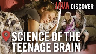 The Science of Teenage Brains A Biological Miracle  Understanding the Adolescent Brain Documentary [upl. by Boorer523]