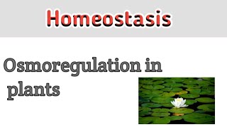 Osmoregulation in plants  Homeostasis [upl. by Nissa]