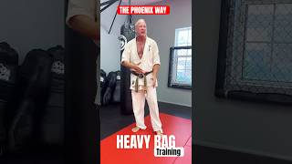 Kyokushin Karate Heavy Bag Training with Shihan Anthony Codispoti of The Phoenix Way Dojo karate [upl. by Eivad]