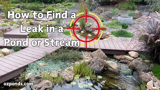 How to find a leak in a pond or stream [upl. by Doraj]