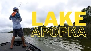 First Time Fishing Lake Apopka Florida [upl. by Laverna]